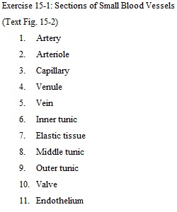 Answer Sheet Chapter 15-1